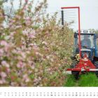 MÄRZ-Kalender, darunter die Tage Mo-So. Ein Traktor fährt durch blühende Obstplantagen mit rosa Blüten.