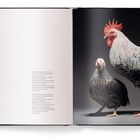 Links, klein gedruckter Text auf weißem Hintergrund. Rechts ein Hahn und eine Henne auf dunklem Grund.