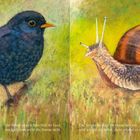 Links: "Die Amsel singt schon früh ihr Lied, noch eh man recht die Sonne sieht." Rechts: "Die Schnecke trägt ihr Häuschen mit." Links ein Amselbild, rechts eine Schnecke mit Haus.