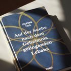 Buchtitel: "Auf der Suche nach dem Geheimnis gelingenden Lebens". Autor: Stephan Falk. Design: Goldene Linien auf Blau.