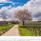 März 2027, Kalender. Ein Weg durch Weinberge, ein blühender Baum, bewölkter Himmel. Text: "Die Pfalz - Mandelbaum bei Freinsheim".