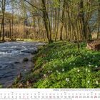 Altenberg – Naturschutzgebiet Dhünnaue, März 2027 Kalender, lebendige Fluss- und Waldesidylle mit Frühlingsblumen.