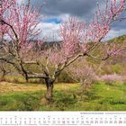 Kalender März 2027, blühende Obstbäume mit rosa Blüten in einer hügeligen Landschaft unter wolkigem Himmel.