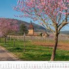 Text: 3 2027, Frühling, Die Pfalz - Mandelblüte. Eine gerade Straße gesäumt von blühenden rosa Bäumen, im Hintergrund ein Turm.