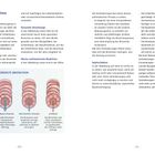 Gesunde und verengte Bronchien: Diagramm zeigt normale, erschwerte und Atemnotzustände durch Veränderungen im Bronchialsystem.
