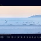 03 März. Kalenderblatt mit nebligem Panorama, zeigt Hirsche in einer stillen, morgendlichen Landschaft.