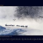 01 Januar. Gruppe Schwäne im Nebel vor verschneiten Bäumen. Unten Kalender mit Januar-Tagen.