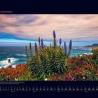 12 Dezember. Naturkalender mit Küstenlandschaft in Kalifornien, bunte Vegetation und blaues Meer.