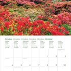 Kalender für Oktober mit Wochentagen in sechs Sprachen. Foto: Blühende Landschaft mit Sonnenuntergang und Inseln.