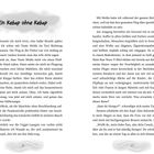 "Ein Kebap ohne Kebap." Eine Geschichte über eine chaotische Flugreise mit Tante Melda, fremde Sprachen, und unerwartete Erlebnisse.