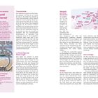 Seite 8, "Stadt und Stadtviertel". Abschnittstitel: "Traumstrände", "La Parte Vieja und Monte Urgull", "Neustadt und Área Romántica", "Antiguo", "Gros und Egía". Text beschreibt Stadtteile von San Sebastián mit besonderen Merkmalen und Sehenswürdigkeiten. Links unten Bild von Strand und Schmuckgeländer. Rechtes Seite enthält eine Karte der Stadt.