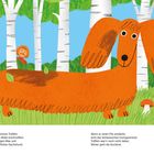 Texte: Über Trüffel suchende Hunde. Große rote Dackel-Illustration in einem Birkenwald, ein kleiner Junge versteckt sich.