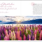 "Nicht die Glücklichen sind dankbar..." Zitat von Francis Bacon. Lupinen am Lake Pukaki, Berge, Sonnenuntergang im Hintergrund.