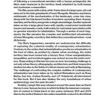 "Through the dusty haze, the raging flames, the graves, and through the shattered homeland, All the sacrifices transmuted into steel, Are carried off to build the paradise of our desires."

Ein Text beschreibt Zhao Liangs Film "Behemoth" von 2015, der die Urbanisierung und Umweltveränderungen in der Inneren Mongolei thematisiert und die Herausforderungen der zeitgenössischen Urbanisierung beleuchtet. Der Film zeigt, wie das Gebiet zur Fabrik wird, was Urbantheorie und kritische Filmemachung beeinflusst.