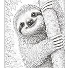 Ein fröhliches Faultier mit großen Krallen umarmt einen Baum. Es schaut direkt, umgeben von Blättern. Eine Illustration.