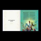 „Der triumphale Einzug“. Bibelreferenzen: Matthäus 21:1-17, Markus 11:1-11, Lukas 19:28-40, Johannes 12:12-19. 

Illustration von Menschen mit Palmen.