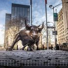 "Evacuation Day", "Charging Bull Wallstreet", großer bronzener Bulle auf Kopfsteinpflaster zwischen hohen Gebäuden.