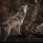 Kalenderdaten und ein Wolf, der in einer natürlichen Umgebung mit Kopf nach oben steht.