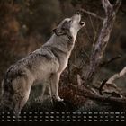 Kalender für März mit einem heulenden Wolf in einer waldigen Umgebung.