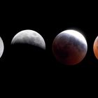 Langsam bewegt sich der Vollmond durch den Erdschatten. Vier Mondphasen: voll, teilweise verdeckt, fast verdeckt, rot.