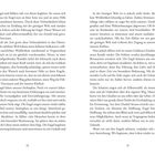 Seitenzahlen 12 und 13. Text über Engel, innere Führung, Vertrauen. Erwähnt Schutzengel, Seele und spirituelle Verbindung.