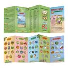 „Dinosaurier 55 Lernkarten“, „Die Trias“, „Der Jura“, „Das Jura­meer“, „Die Kreide“, „Das Kreidemeer“, Bild von Kartenfächern.