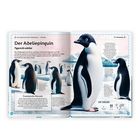 "Der Adeliepinguin: Pygoscelis adeliae", mit Informationen über Verbreitung, Anpassung und französische Wurzeln. Pinguine im Schnee.