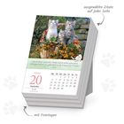 Zitat: "Gleich einer ziehenden Wolke..." Datum: Montag, 20. September. Drei Kätzchen sitzen in einem Blumenkorb.