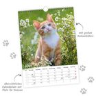 "März", "mit großen Katzenbildern", "übersichtliches Kalendarium mit Platz für Notizen". Eine rote Katze sitzt in Blumen.