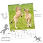 „Mit großen Pferdebildern, übersichtliches Kalendarium mit Platz für Notizen.“ Zwei spielende Fohlen auf einer Wiese im Juni.
