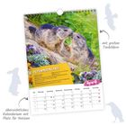 Text: "ALPENMURMELTIER", "April", "mit großen Tierbildern", "übersichtliches Kalendarium mit Platz für Notizen". Zwei Murmeltiere auf einem Felsen.