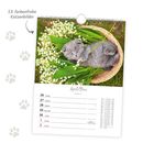 53 farbenfrohe Katzenbilder. April Mai. Woche 17. Ein graues Kätzchen liegt in einem Korb mit Maiglöckchen.