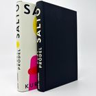 Texte: "SALTO", "KURT PRÖDEL", "parix x ullstein". Zwei Bücher, eines mit minimalistischem Einband, das andere schwarz.