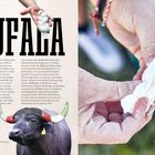 „BUFALA“ steht groß geschrieben. Links ein Text über Büffelmozzarella. Rechts Hände, die Mozzarella auseinanderziehen.