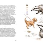 Text über Rehkitze und Dachsbaue. Rechts Aquarell-Illustration: Dachs, Hund an Leine, Frösche und weitere Dachse.