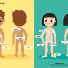 Zwei Kinderillustrationen mit Körperteilen wie Arm, Schulter, Bauch, etc. Jeder Körperteil ist beschriftet.