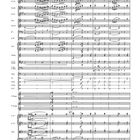 Notenzeilen mit Anmerkungen wie "Flute", "Horn", "Trumpet". Musikalische Partitur mit verschiedenen Instrumentenspuren.