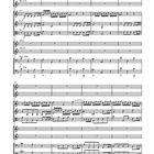 Notenblatt mit Notationen für Flöte, Oboe, Violine, Fagott, Orgel. Musikalische Takte und Notenlinien ersichtlich.