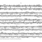 Notenblätter mit Texten wie "Andante", "Primo", und dynamischen Anweisungen wie "crescendo". Musikstück mit mehreren Zeilen.