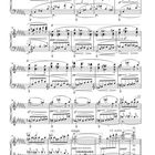 Notenblatt mit musikalischen Anmerkungen wie "poco cresc.", "ppp", "rit. molto", "Adagio" und "pppp". Filigrane Notenstrukturen.