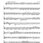 Ein musikalischer Spaß, Violine II, Allegro (1. Fassung), KV 522. Noten und musikalische Anweisungen sind sichtbar.