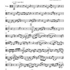 "Sha-ma-yim" für Viola Solo, von Walter Zimmermann, 2016. Notenblätter mit musikalischen Anweisungen.