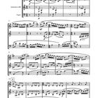 Seite 23, Allegro assai, Flöte, Klarinette in B, Fagott; Notenblätter mit musikalischen Anweisungen.