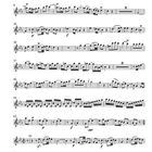 "Allegro" oben. Eine Seite mit Notenlinien, musikalischen Symbolen und Taktzahlen.