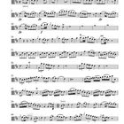 "Quartetto D-Dur", "Allegro Moderato", "Viola da Gamba", "Carl Stamitz (1745-1801)". Notenblatt mit Musiknoten und Anweisungen.