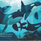 Text: "God is the love of family who surround us. With their strength, making us strong." Illustration von schwimmenden Orcas.