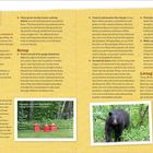 "The Bear Necessities" – Anleitung zur Sicherung von Bienenstöcken mit einem Elektrozaun, inkl. Materialliste und Tipps.