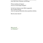Text über eine friedliche Welt ohne Waffen und Kriege. Frage, ob man an diese Welt glaubt. "Hör nie auf zu Träumen!"