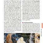 Die Tafilaet-Oase: Größte Oase, 1380 km², Dörfer, Erziehung, Landwirtschaft, Erfoud, Rissani, Fossilienwerkstätten. Fossilenschleiferei.