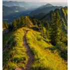 31 August. Eine schmale Pfad verläuft auf einem Bergkamm, umgeben von grünen Bäumen und sanften Hügeln.